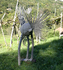 2008 - Ñandù Nascosto   