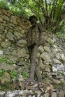 2008 - L'Uomo che piantava gli alberi   Museo del Parco di Portofino